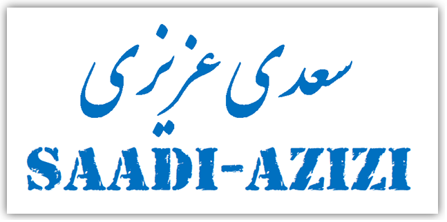 سعدی عزیزی